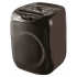 Колонка портативная AIWA CAS-200