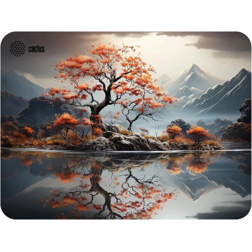 Коврик для мыши Cactus CS-MP-PRO18XL Lake