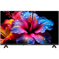 Телевизор LED TopDevice 42" TDTV42BN02F